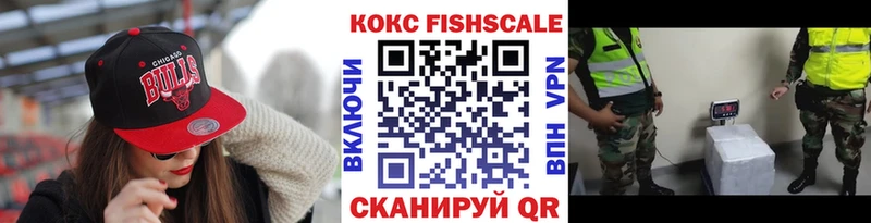 наркота  Новоузенск  COCAIN FishScale 