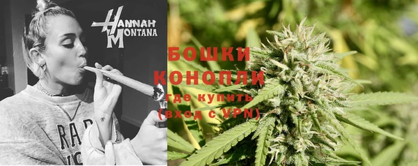 ГАЛЛЮЦИНОГЕННЫЕ ГРИБЫ Нефтегорск