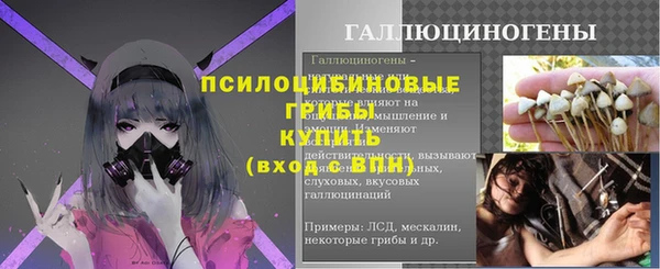 дурь Надым