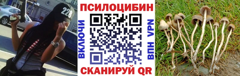 Галлюциногенные грибы мухоморы  Новоузенск 